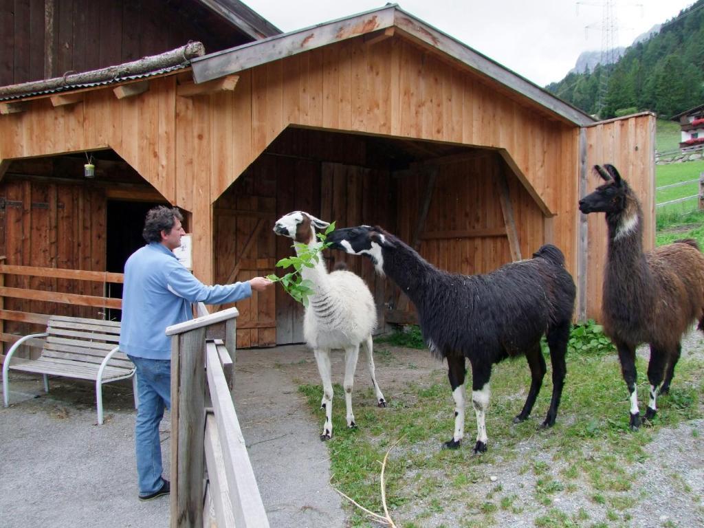 "Quality Hosts Arlberg" Hotel-Gasthof Freisleben Sankt Anton am Arlberg Buitenkant foto